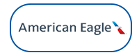 Air Eagle logo
