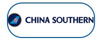 China Southern Airlines logo box