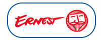 Fly Ernest logo