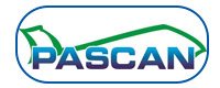 Pascan Aviation Logo
