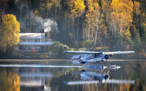 Seaplane landing in water surrounded by trees