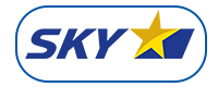 Skymark airlines Logo