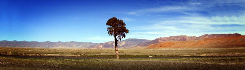 Book Flights with Andoid Pay
