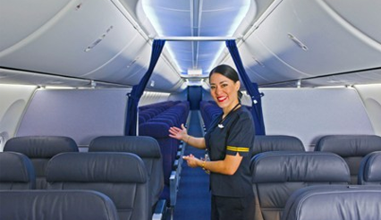 An image of the interior of the Boeing 737 Max, with flight attendant