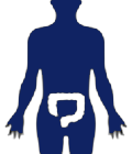 bowel icon