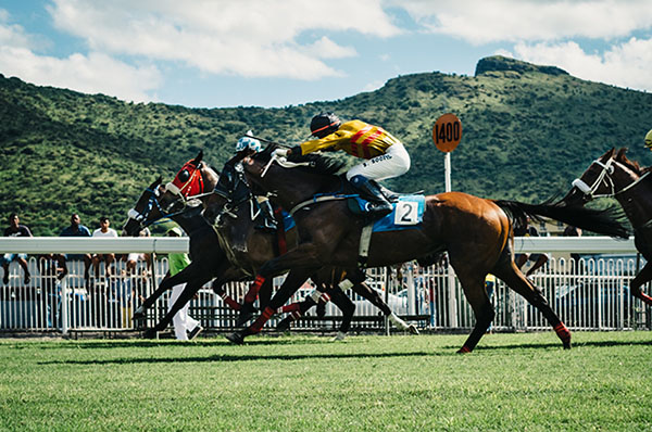 Horses racing each other with jockey's riding them through lush green hillside