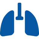 lung icon