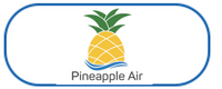 Pineapple Air logo