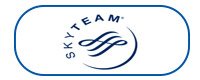 SkyTeam Alliance Logo