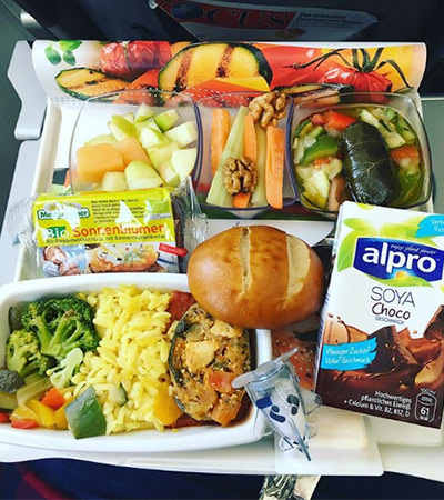 Vegan Air Travel | Best Vegan Plane Food Options