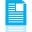Blue visa document icon